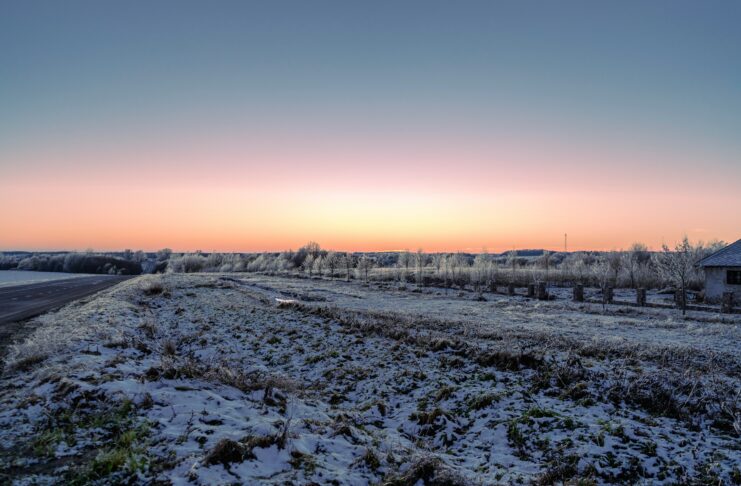 Surprise Deep Freeze Greets First Day of Spring, Raising Concerns for Cherry Trees